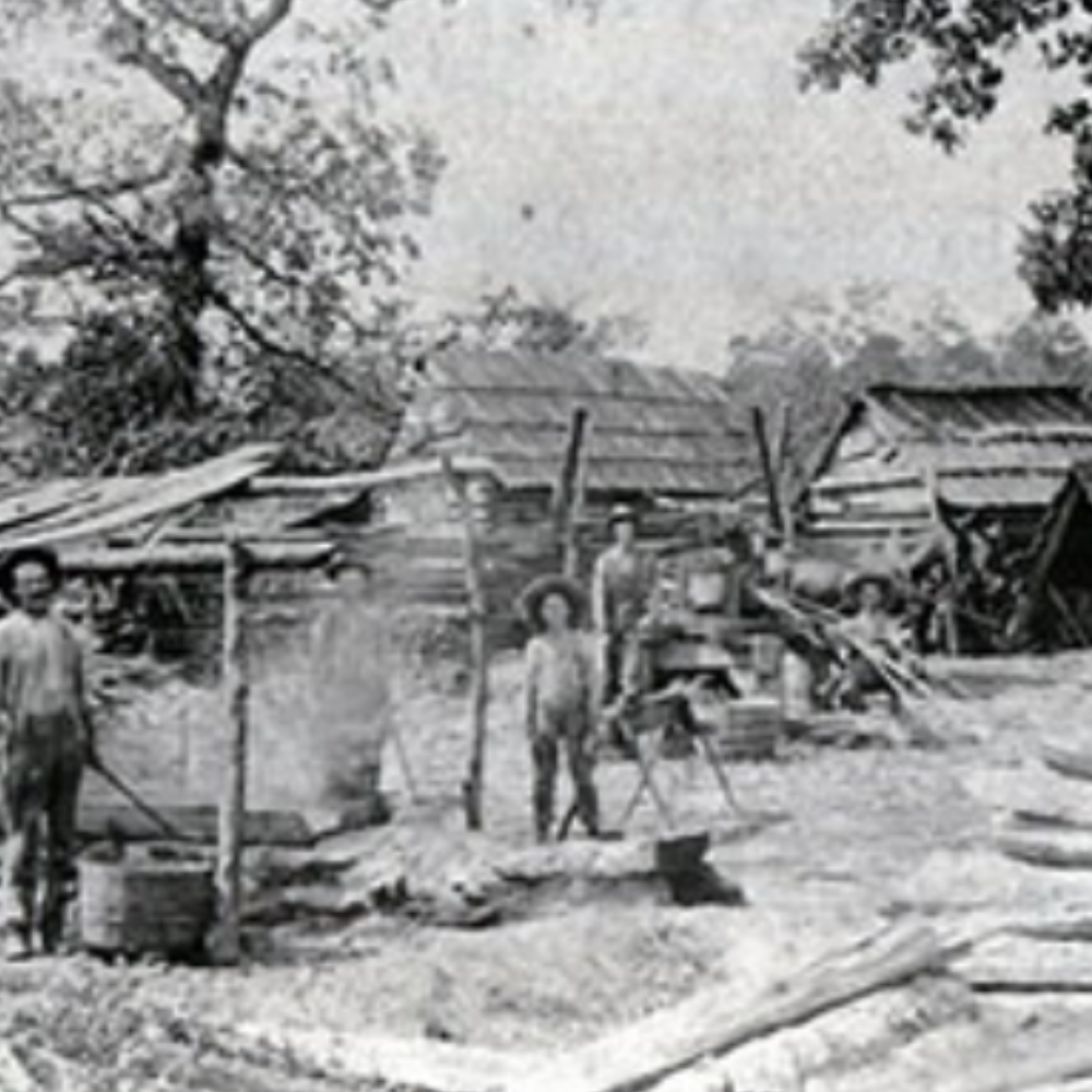 Dacula Through the Years 1