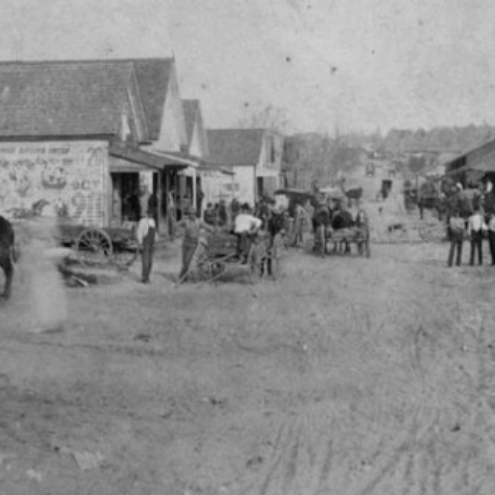 Dacula Through the Years 2